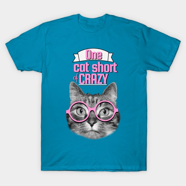 One cat short of crazy T-Shirt by Purrfect